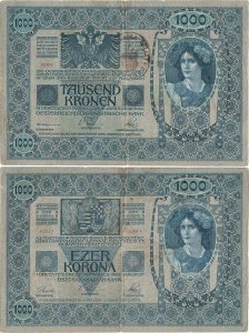 1902 (1919), 1,000 kronen (P-8a) - Austria